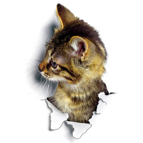 Süße Katze Hund Wandsticker