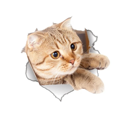 Süße Katze Hund Wandsticker